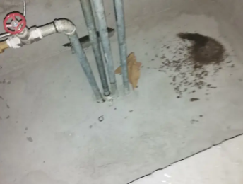 迁西卫生间测漏水价格明细